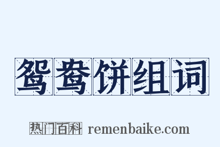 鸳鸯饼组词是什么意思的图片